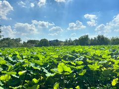 -云龙湖旅游景区