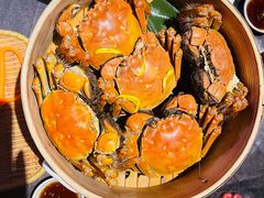 母蟹-蟹榭·本帮江浙菜·蟹宴(五角场合生汇商场店)