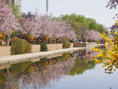 -海棠花溪(元大都城垣遗址公园)