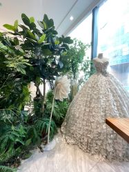 -MuseMarry婚纱(前海嘉里中心店)