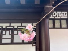 -求雨山文化公园