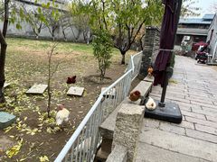 -春风习习
