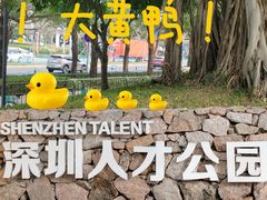 -深圳人才公园