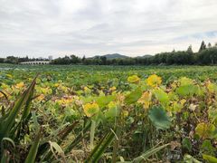 -云龙湖旅游景区