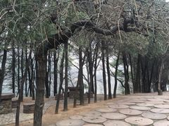 -嵖岈山风景区