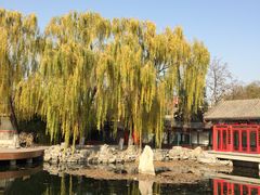 景点-什刹海-后海