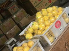 -菜园坝水果市场