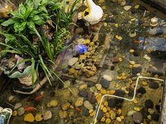 -阿嫂印象·民间江湖菜(大学城店)