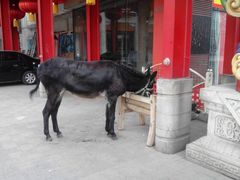 android_upload_pic-大舞台剧场