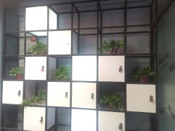 -MAGIC米几发型设计·羊毛卷