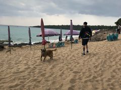 -白沙湾海滩
