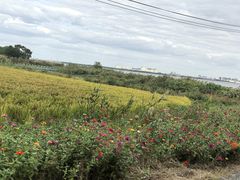 -七的湖·晚芳亭·阳澄湖农家菜·大闸蟹(莲花岛店)