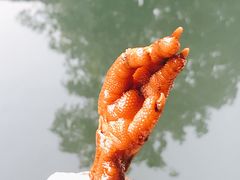 -鸡脚旮旯平江路店