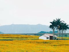 -光明小镇欢乐田园