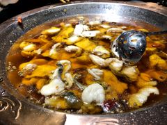 -雲蜀龙阁·金牌水煮鱼(方庄店)