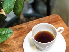 -the fall kaffe乐否咖啡