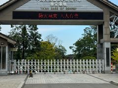 -中国大熊猫保护研究中心雅安碧峰峡基地