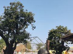 -长洲岛都市农业公园