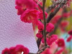 -西北湖绿化广场