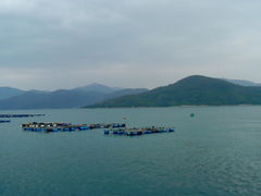 -东平洲海岸公园
