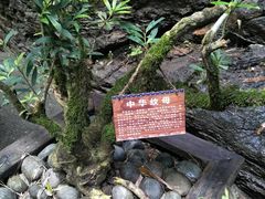 -阿依河景区