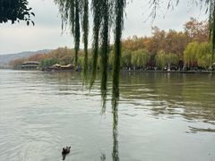-西湖游船