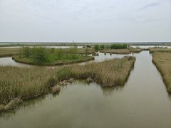 -盐城丹顶鹤湿地生态旅游区