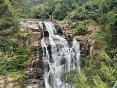 -海南热带雨林国家公园吊罗山景区