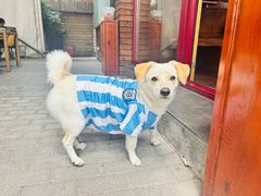 -老外街