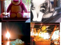 -咖法森林·咖啡  酒吧(天河店)