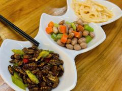 -食鸡公社辣子鸡·潍坊菜·烧烤