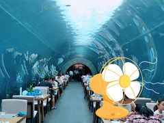 -海棠湾洲际-涛·海底餐厅·美人鱼·自助餐·海底隧道