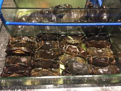 -Isla Sugbu Seafood City