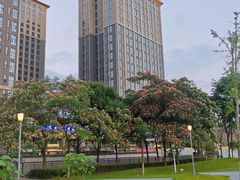 -洋湖国家湿地公园