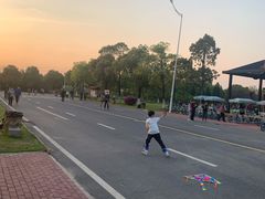 -艾溪湖湿地公园