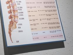 -魔型社