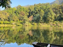 -深圳仙湖植物园