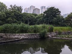 -成都市活水公园