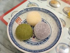 洋风椰蓉大福-赵氏传承特色牛奶甜品店(达明店)