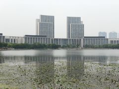 -尚贤河湿地