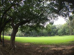 -中山大学学者灵芝(园南路店)