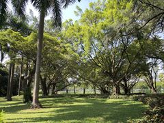 -云溪植物园