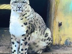 -青藏高原野生动物园