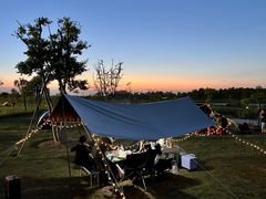 -春花秋色城市公园