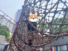 -中国福利会少年宫