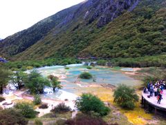 -黄龙山原始森林景区