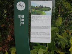 -桤木河湿地公园