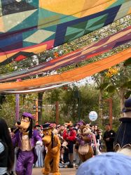 -翱翔飞越地平线