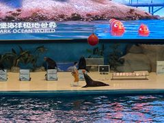 -泉城欧乐堡海洋极地世界
