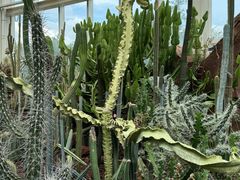 -昆明植物园
